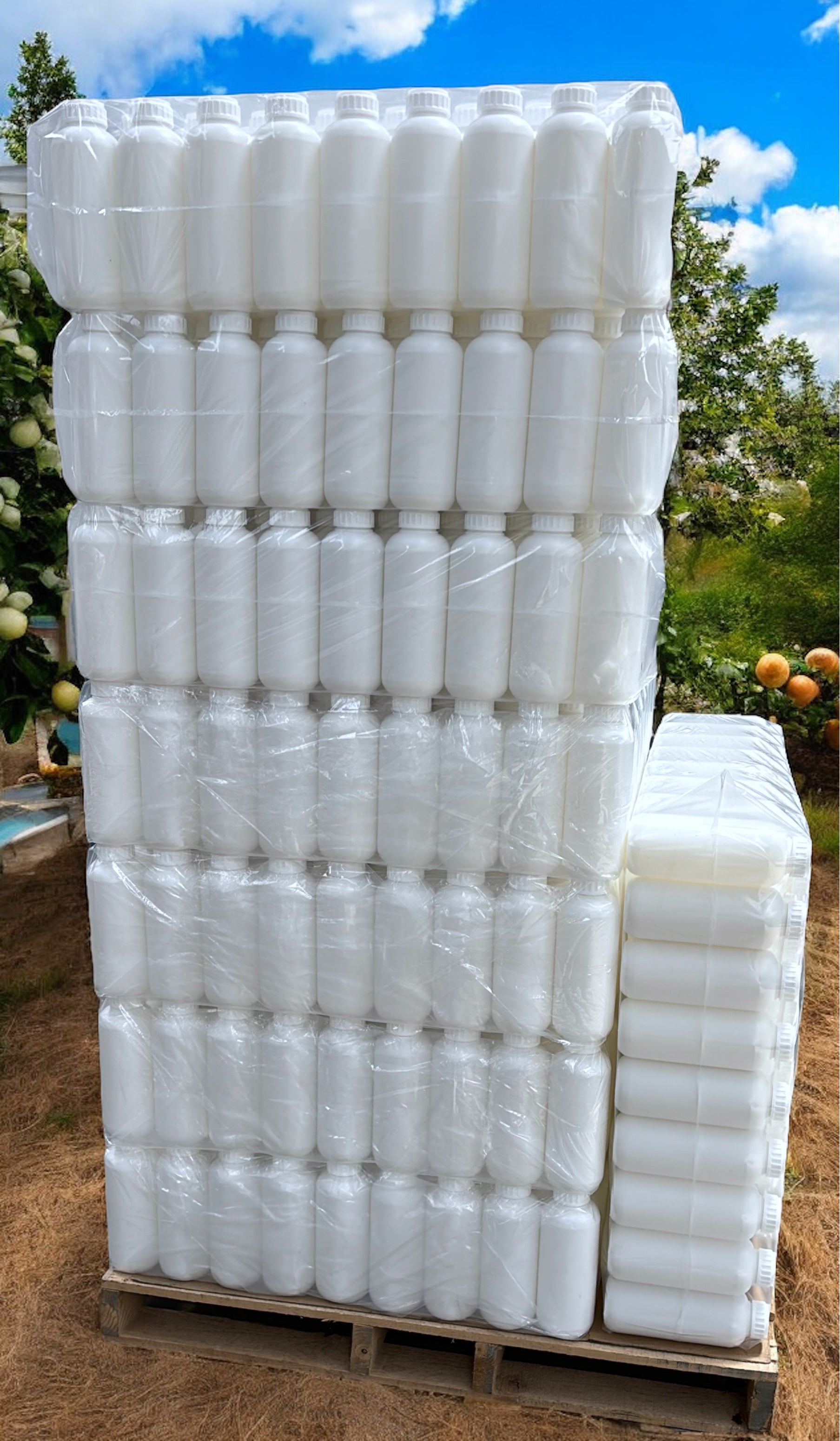 Muestra envase tipo misil de 1 L Paquete con 24 pzs,   Misil Xtra Nueva formulacion en material